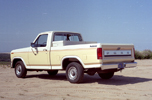 1980 F100