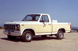 1980 F100