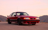  1988 Saleen Mustang