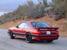  1988 Saleen Mustang